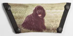 Poodle SS247